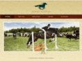 horsesacademy.com