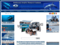 thebdri.com