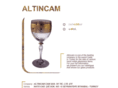 altincam.com