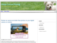 cheapcanvasprinting.net