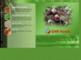 gnbfoods.com