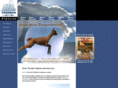 silverthunder.com