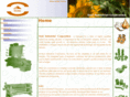 soniindustrialcorp.com