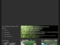 turfrenu.com