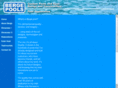 bergepools.com