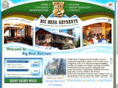 bigbeargroups.net