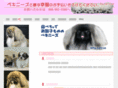 pekingese-meikennosato-elsa.com