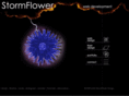 stormflower.com