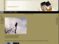 carpentrysolutionsllctx.com