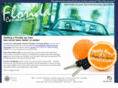 floridacarloans.com