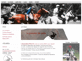 polo31.com