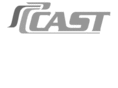 cast-limousine.com