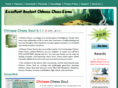 chesssoul.com