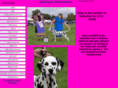 hot2spotdalmatians.com
