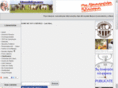 llanerisimo.com