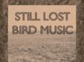 stilllostbirdmusic.com
