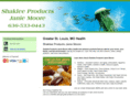 healthychoice-janiemoore.com