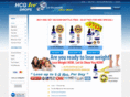 hcgice.com