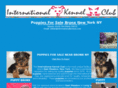 puppybronx.com