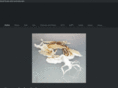 davidlicata.com