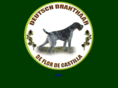 drahthaardeflordecastilla.es