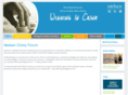 nielsenchinaforum.com