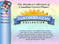 northerngemscollection.com