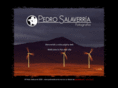 pedrosalaverria.com