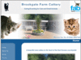 brookgatefarmcattery.co.uk