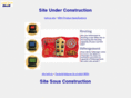 communic-actionplus.com