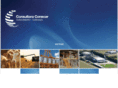 consultoraconecar.com