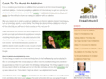 howtotreataddiction.com