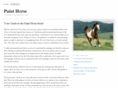 painthorse.com