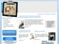 rentonvet.com