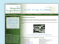 starpointacupuncture.com