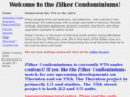 zilkercondos.com