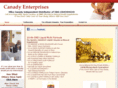 canadyenterprises.com