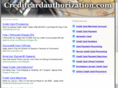 creditcardauthorization.com
