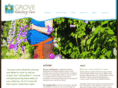 grovemidwiferycare.com