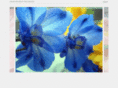itakephotographs.com