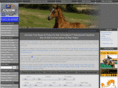 dutch-warmbloods.net