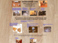 hardwood101.com
