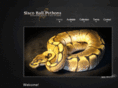 siscoballpythons.com