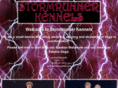 stormrunner.com
