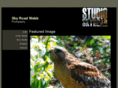 studioskyroad.com