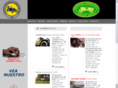 autosantiguosperu.com