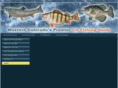 bluemesaicefishing.com
