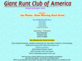 giantruntclubofamerica.com