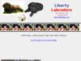 libertylabs.net