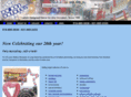 balloonbouquetsofli.com
